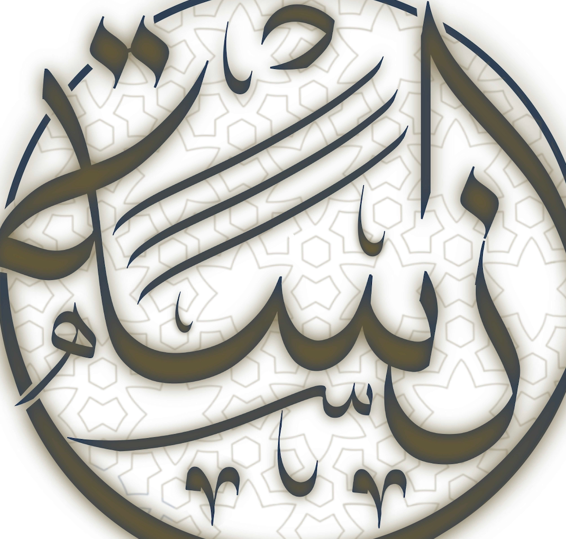 Anasat Logo