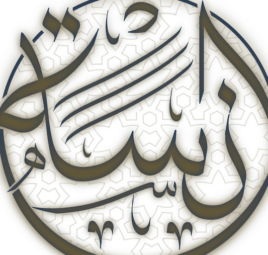 Anasat Logo